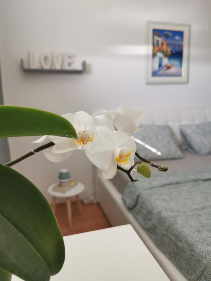 Kenzo Apartment Senj  Zewnętrze zdjęcie