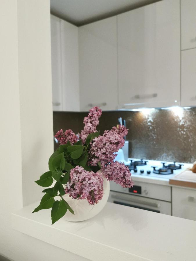 Kenzo Apartment Senj  Zewnętrze zdjęcie